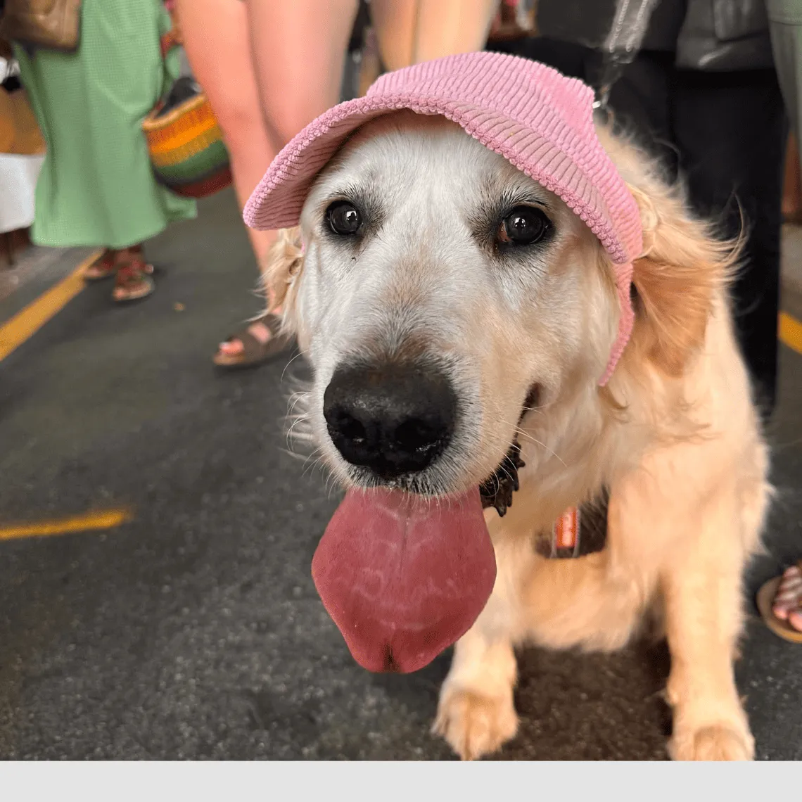 UV-Protective Adjustable Dog Hat in Pink