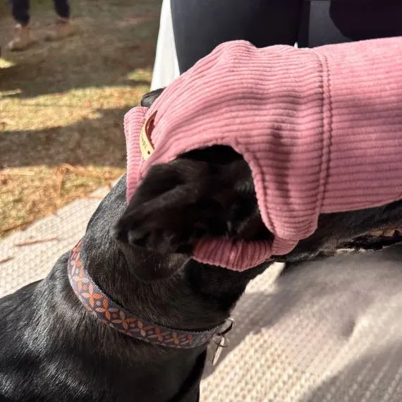 UV-Protective Adjustable Dog Hat in Pink